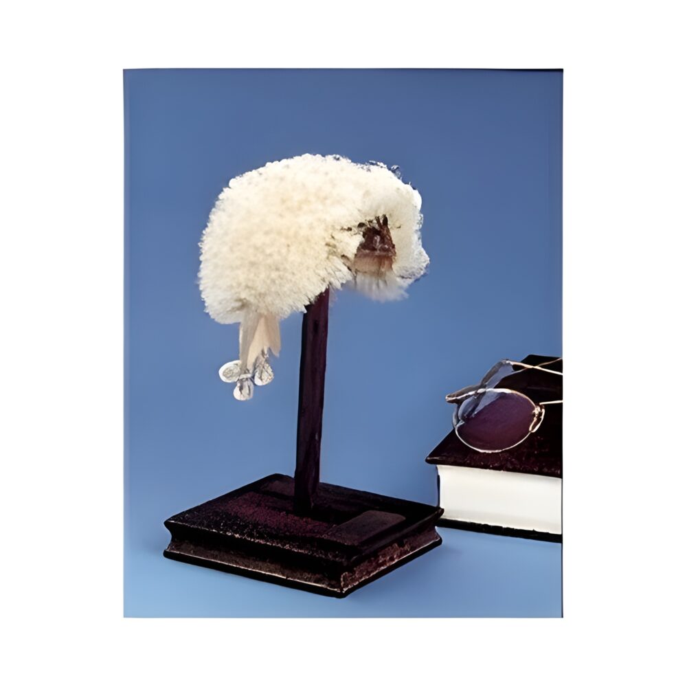 Miniature Judge's Bench Wig For Display Only